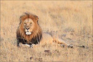 10-Day Best of Tanzania