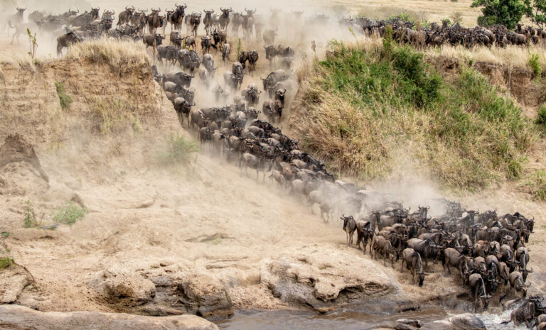 3-Day Serengeti Adventure