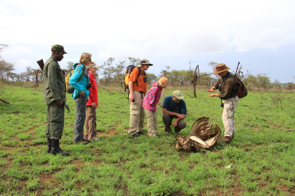 Guided Nature Walks 3 Guided Nature Walks