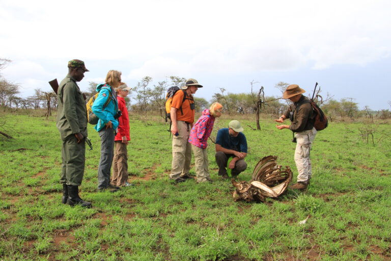 Guided Nature Walks