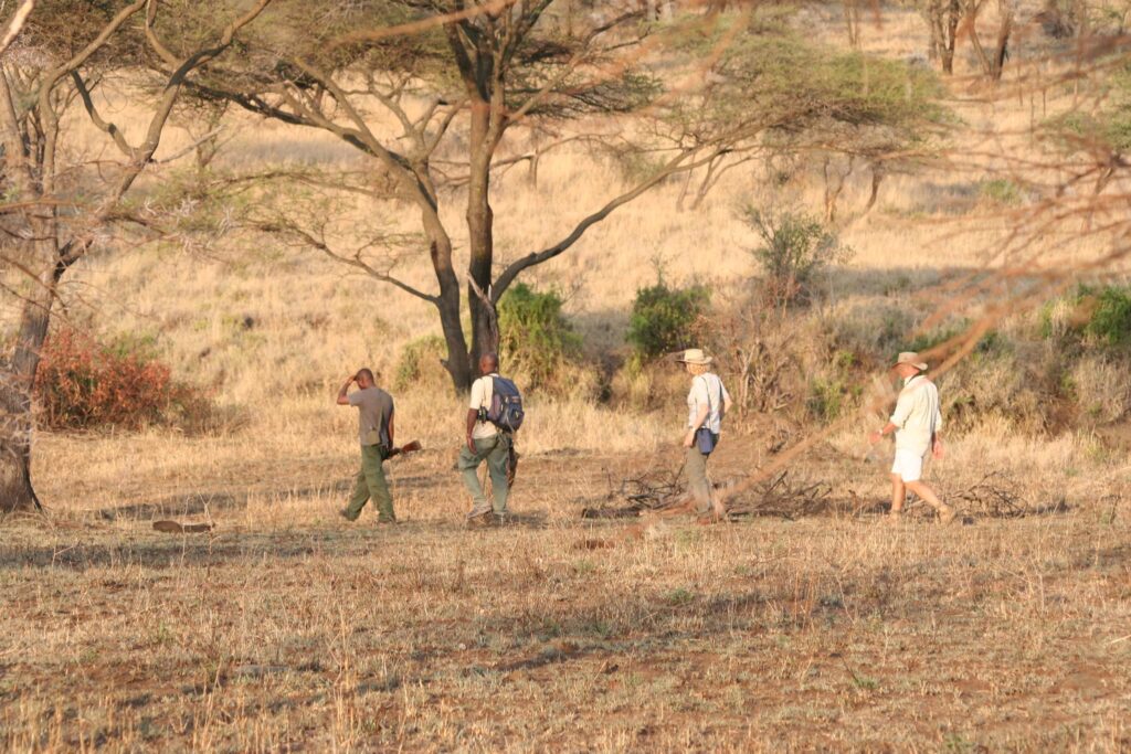 Tracking Wildlife on Foot